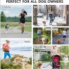 Hands Free Dog Leash Hands Free Dog Leash