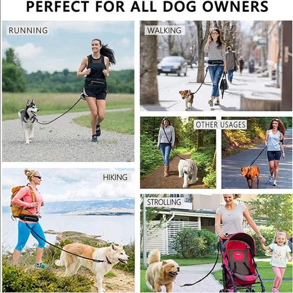 Hands Free Dog Leash Hands Free Dog Leash