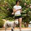 Hands Free Dog Leash Hands Free Dog Leash