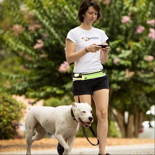 Hands Free Dog Leash Hands Free Dog Leash