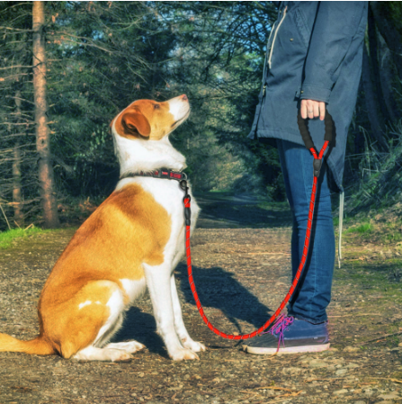 Reflective Dog Leash Set Reflective Dog Leash Set