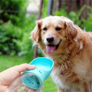 Compact Dog Water Cup