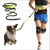 Hands Free Dog Leash Hands Free Dog Leash