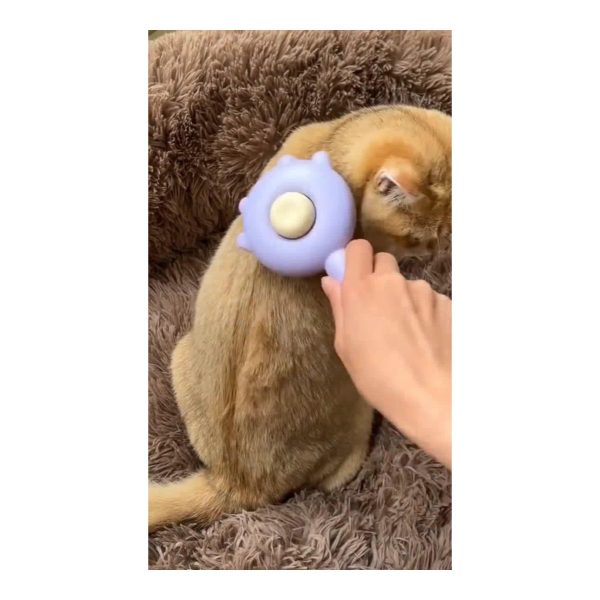 Cat using a grooming massage comb indoors