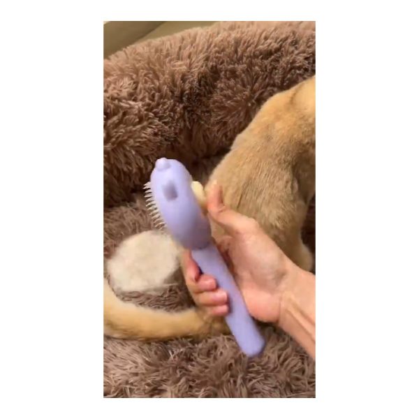 Cat grooming massage comb used with a cat