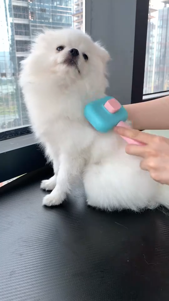 Dog Grooming Brush
