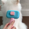 Dog Grooming Brush