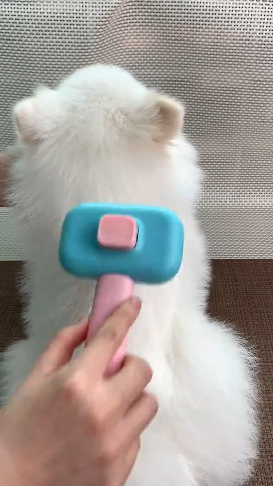 Dog Grooming Brush