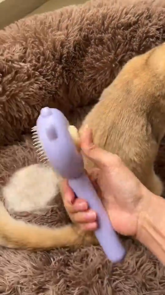 Cat Grooming Comb Cat Grooming Comb