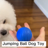 Dog Chew Ball Toy
