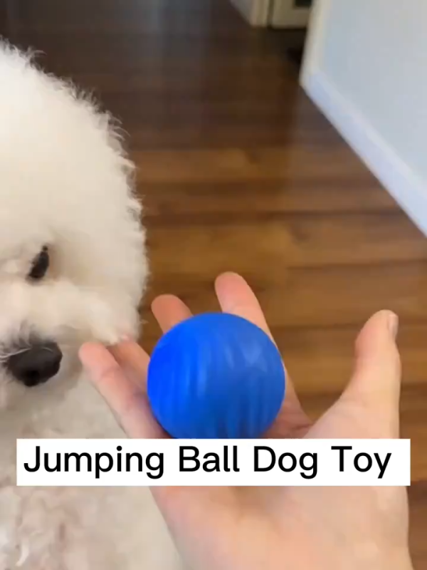 Dog Chew Ball Toy