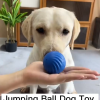 Dog Chew Ball Toy