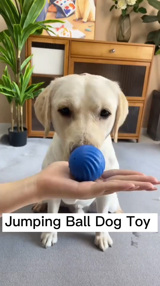 Dog Chew Ball Toy