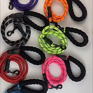 Reflective Dog Leash Set