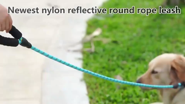 Reflective Dog Leash Set Reflective Dog Leash Set