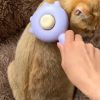 Cat Grooming Comb Cat Grooming Comb