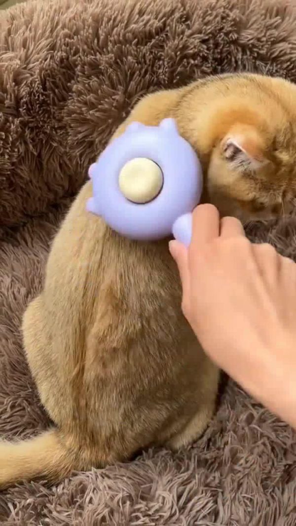 Cat Grooming Comb Cat Grooming Comb