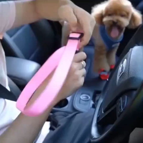 Dog Car Seat Belt