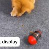 Dog Treat Puzzle Toy Dog Treat Puzzle Toy