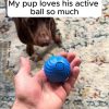 Dog Chew Ball Toy