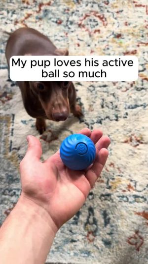 Dog Chew Ball Toy