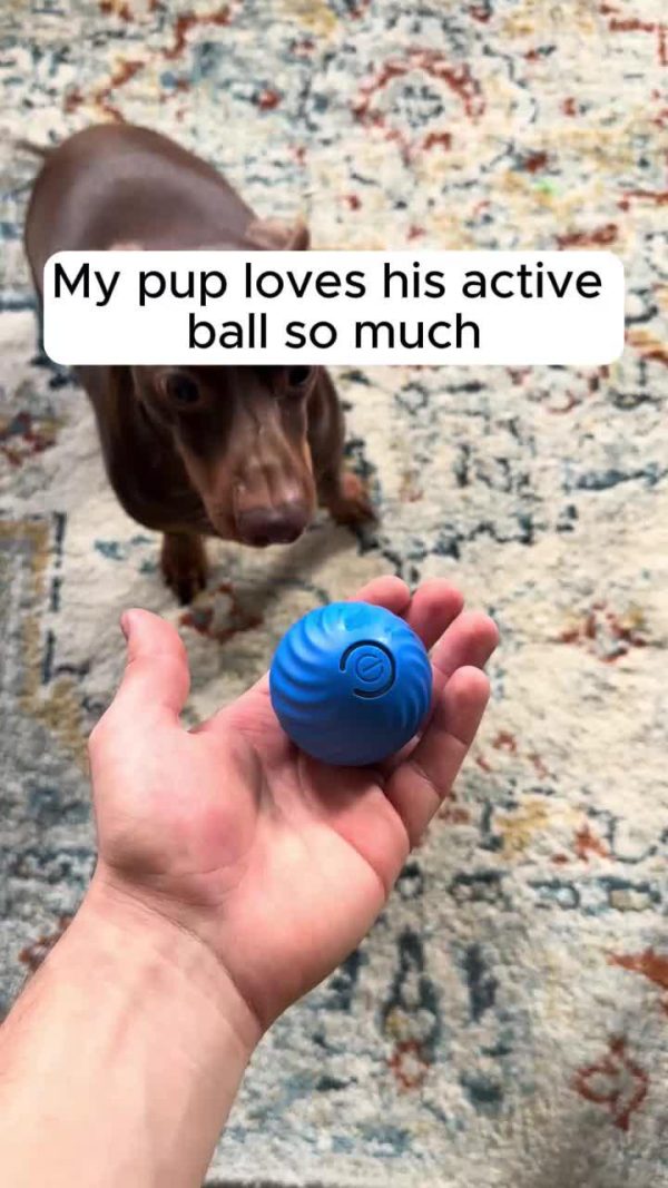 Dog Chew Ball Toy