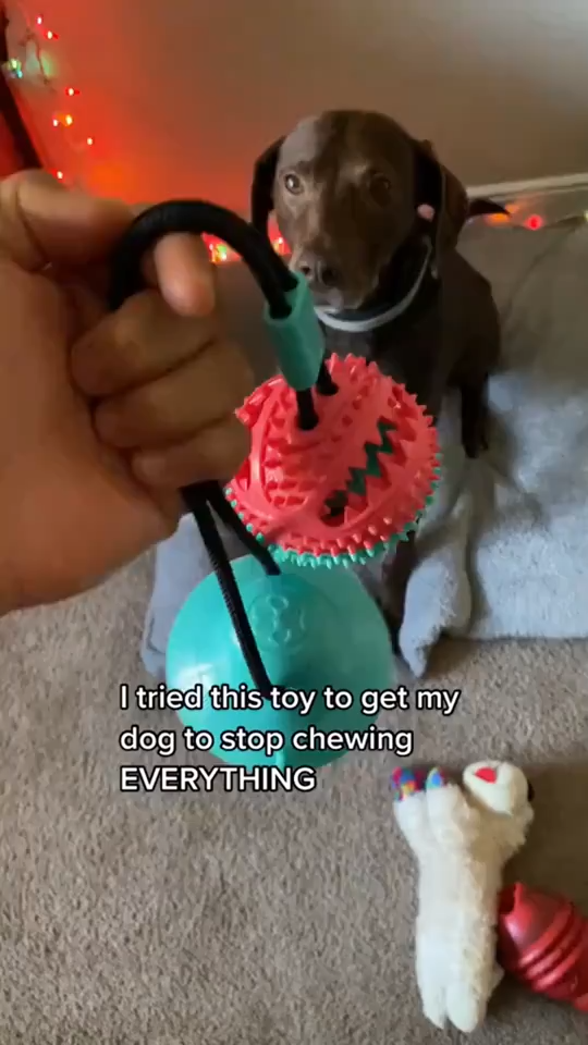 Dog Tug Toy