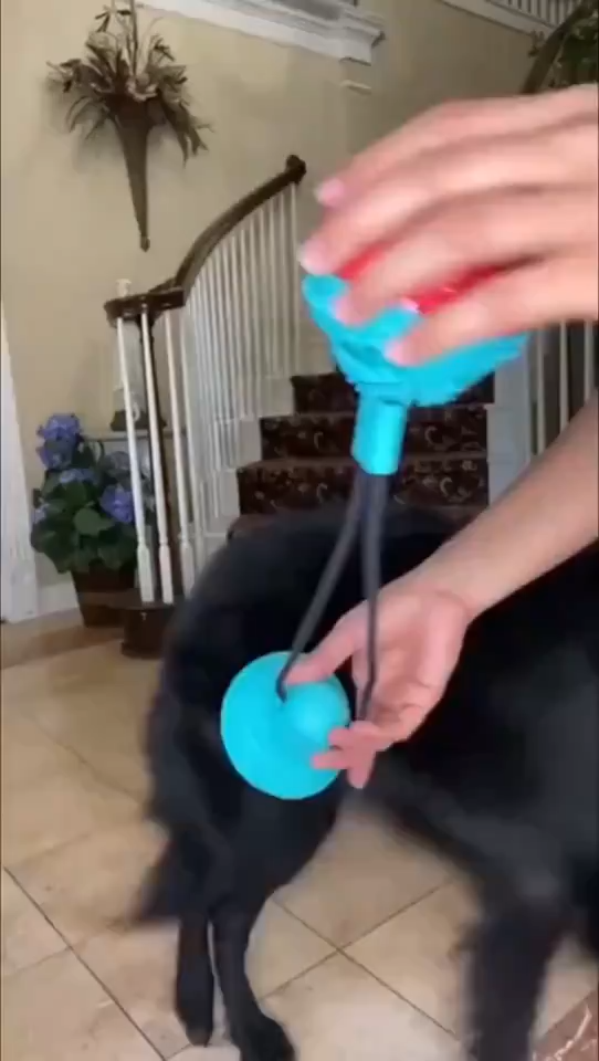 Dog Tug Toy