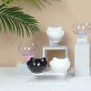 Double Cat Bowl Double Cat Bowl