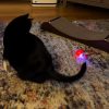 Interactive Cat Toy Ball Interactive Cat Toy Ball