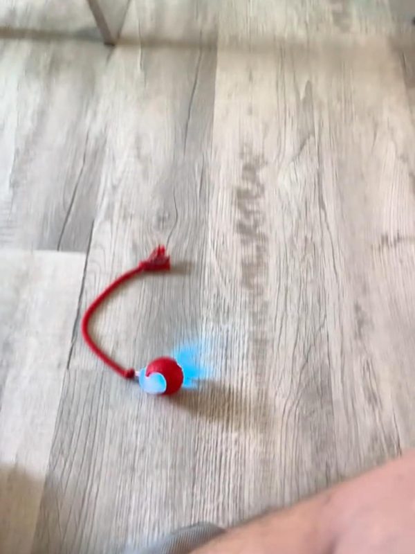 Interactive Cat Toy Ball Interactive Cat Toy Ball