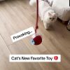 Interactive Cat Toy Ball Interactive Cat Toy Ball