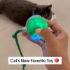 Interactive Cat Toy Ball Interactive Cat Toy Ball