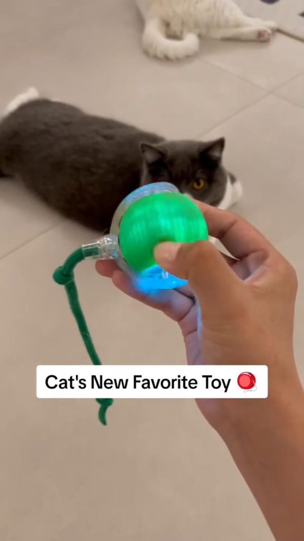 Interactive Cat Toy Ball Interactive Cat Toy Ball
