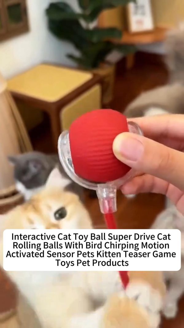 Interactive Cat Toy Ball Interactive Cat Toy Ball