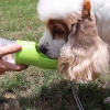 Travel Dog Water Dispenser Travel Dog Water Dispenser