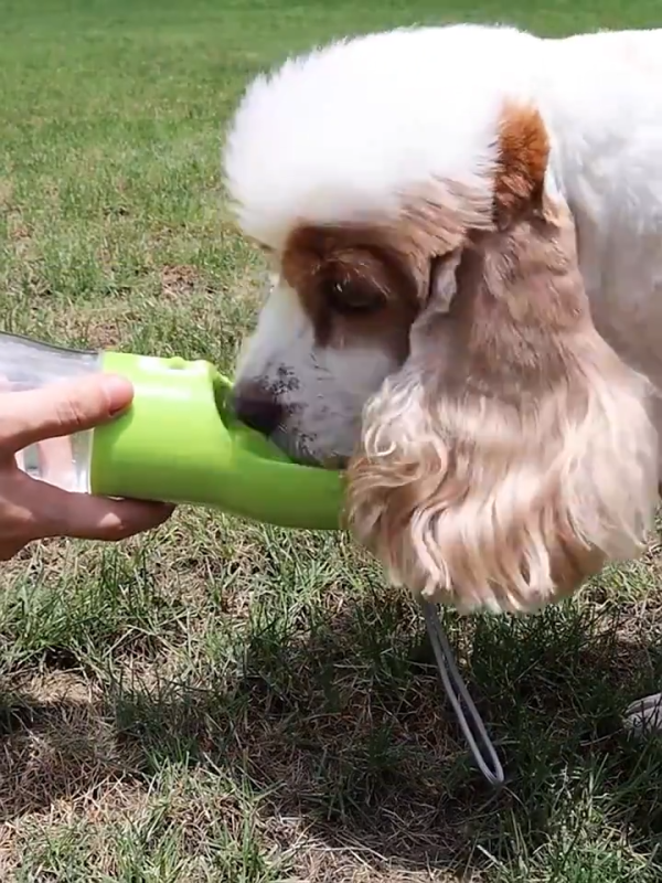 Travel Dog Water Dispenser Travel Dog Water Dispenser