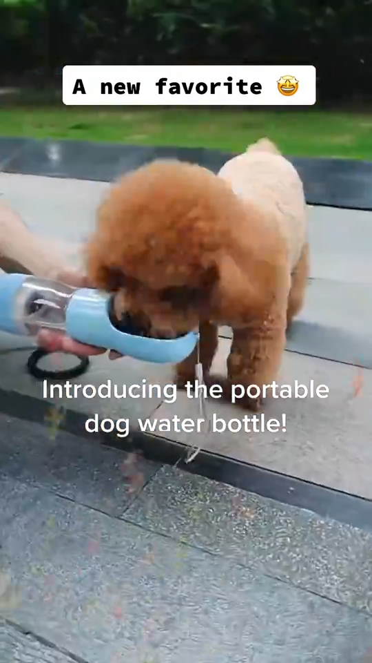 Travel Dog Water Dispenser Travel Dog Water Dispenser