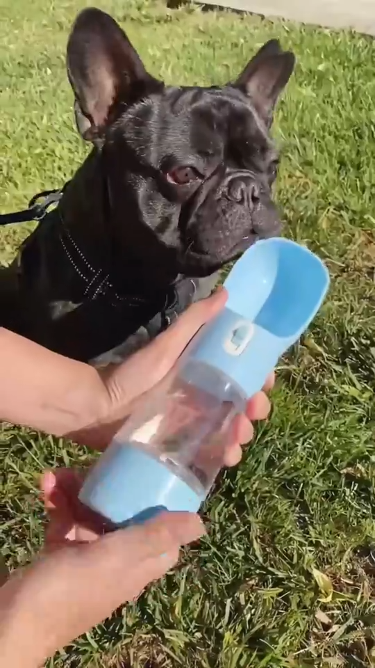Travel Dog Water Dispenser Travel Dog Water Dispenser