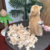 Pet Dematting Comb