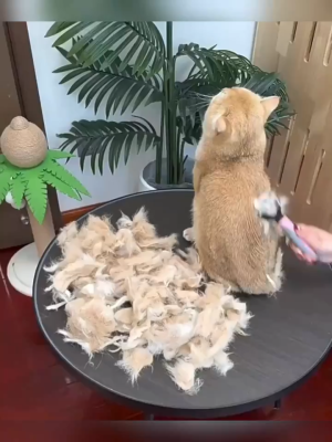 Pet Dematting Comb Pet Dematting Comb
