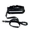 Hands Free Bungee Dog Leash - Main Hands free bungee dog leash on a white background