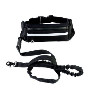 Hands Free Bungee Dog Leash - Main Hands free bungee dog leash on a white background