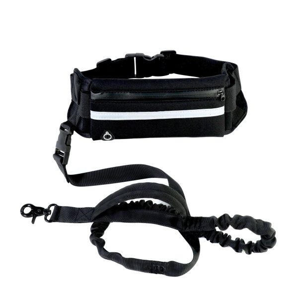 Hands Free Bungee Dog Leash - Main Hands free bungee dog leash on a white background