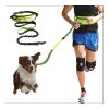 Hands Free Bungee Dog Leash - Detail Close view of the hands free bungee leash connection