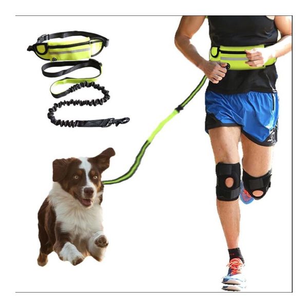 Hands Free Bungee Dog Leash - Detail Close view of the hands free bungee leash connection