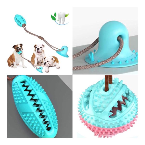 Suction Cup Dog Tug Toy - Detail Suction cup tug toy components shown together